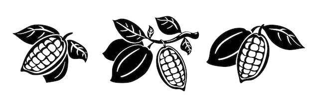 Какао-бобы векторные иллюстрации. какао-бобы на ветке с листьями, изолированные на белом фоне.