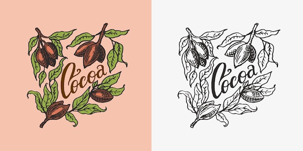 Distintivo vintage di foglie di cacao o logo per negozio di tipografia di magliette o insegne disegnate a mano incise