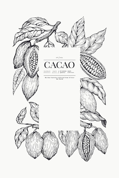 Vettore modello di cacao fave di cacao al cioccolato sullo sfondo. illustrazione disegnata a mano illustrazione stile vintage.