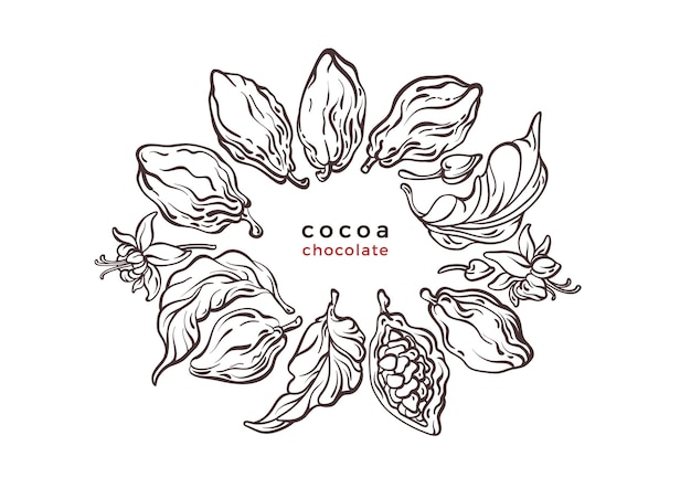 Cocoa texture symbol Choco tree branch bean fruit Graphic label