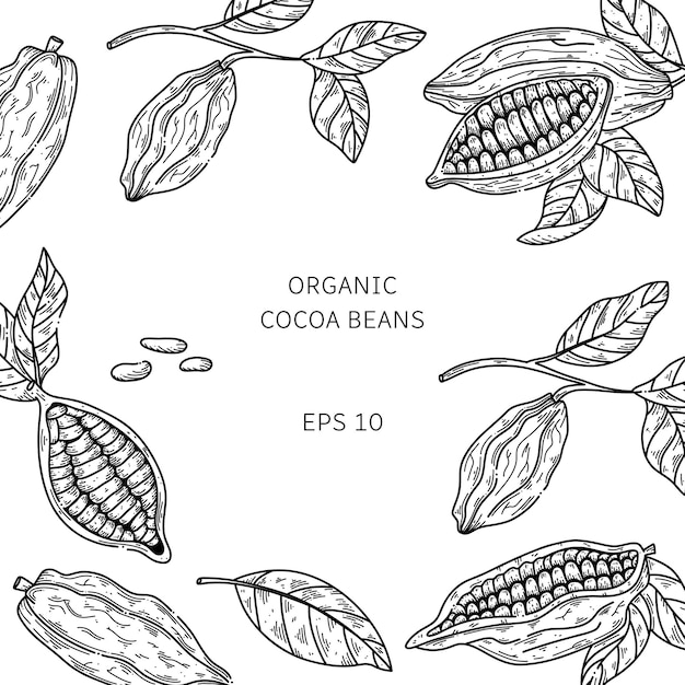 Иллюстрация векторной рамки какао Ручной рисунок каракулей для меню кафе-магазина