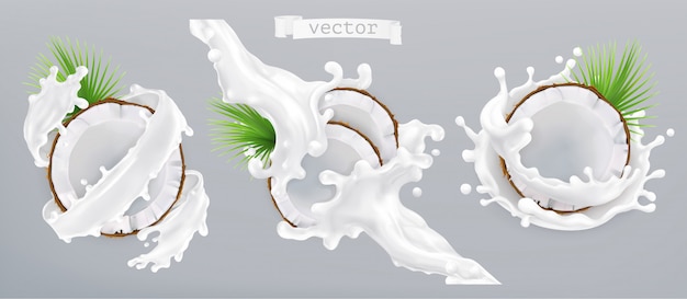 벡터 코코넛과 우유 스플래시. 3d 현실 아이콘