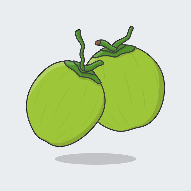Premium Vector | Coconut cartoon vector illustration fresh coconut flat  icon outline coconut