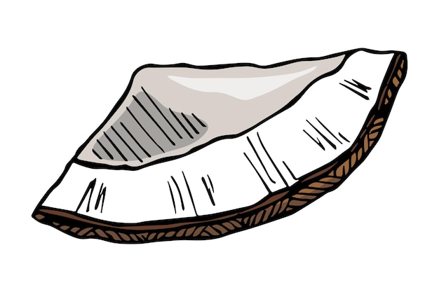 Кокосовые клипарты Нарисованная вручную иконка ореха Тропическая иллюстрация Для печати, веб-дизайн, декор