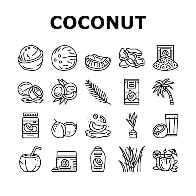 Coconut coco fruit fresh white icons set vector