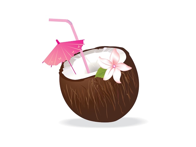 Vector coconut drink free vector design