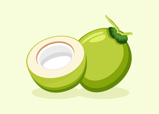 Coconut fruit cartoon flat ilustrations