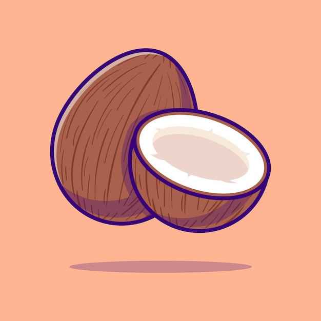 Vector coconut fruit cartoon vector icon illustration