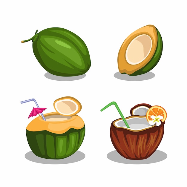 Vector coconut fruit in slice and drink set
