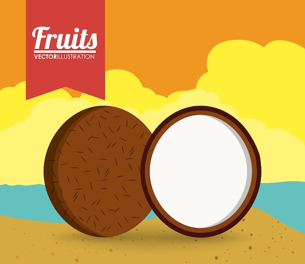 Vector coconut fruit and summer concept