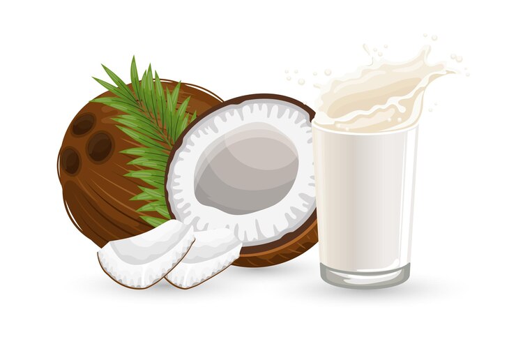 Vector coconut half a coconut pieces of coconut and a glass of milk with a splash on a white background