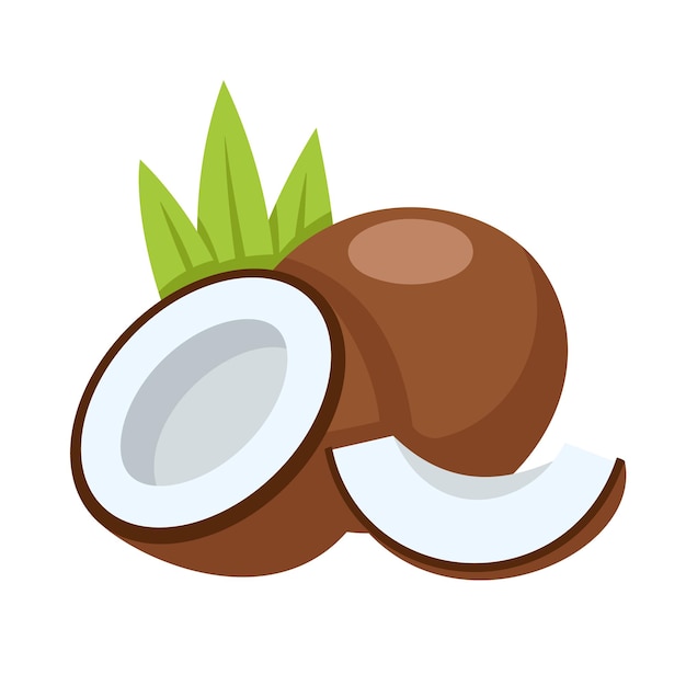 Vector coconut icon isolated on white background