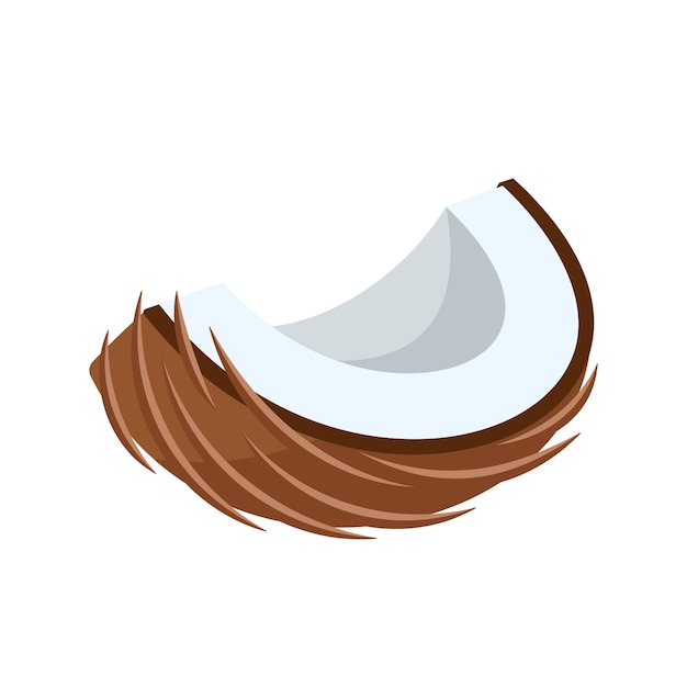 coconut icon isolated on white background