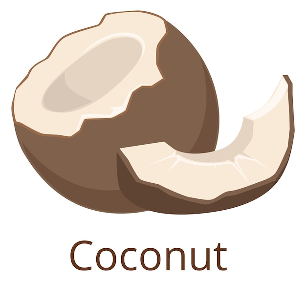 Coconut icon tropical raw nut half and slice