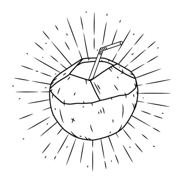 Vector coconut.  illustration with coconut.