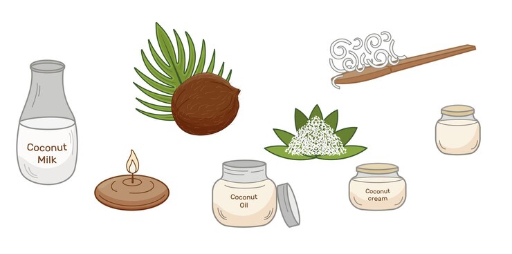 Vector coconut ingredients displayed for culinary cosmetology and aromatherapy various coconut products