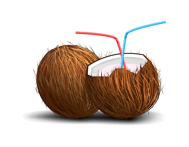 Coconut isolated on white background with drinking tubes and shadow