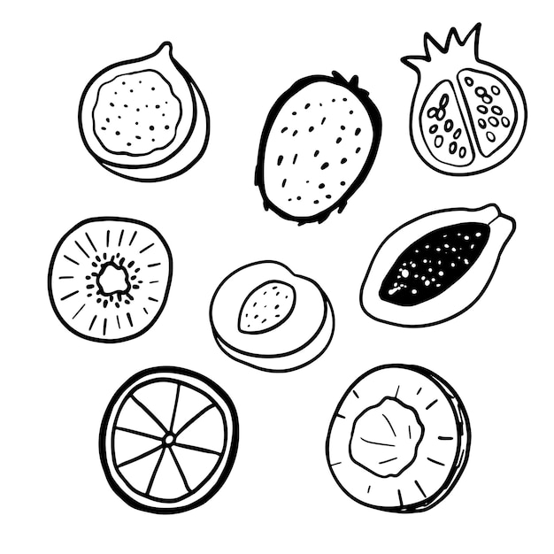 Coconut orange peach kiwi doodle illustrations Outline cute half fruits set isolated on white