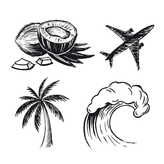 Coconut palm plane wave hand drawn illustrations