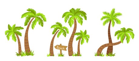 向量椰子棕榈树岛平卡通集热带棕榈树自然设计元素手绘树与木制指针