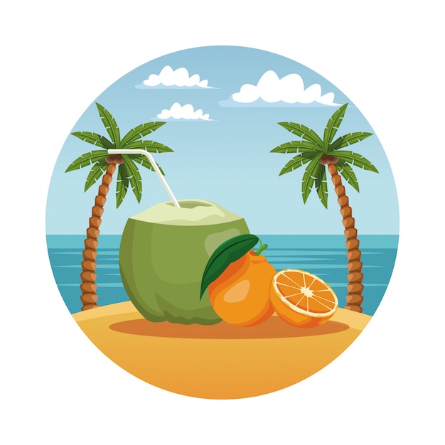 Coconut summer cocktail in round symbol 