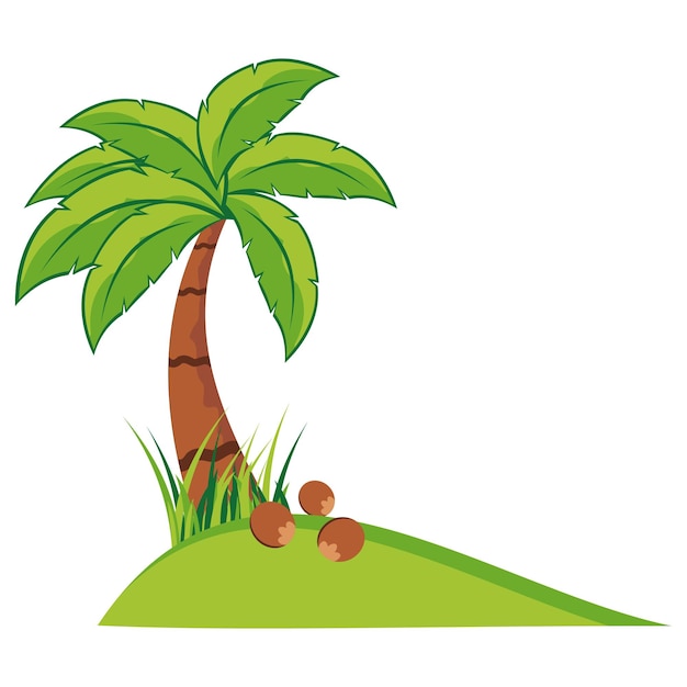 Coconut tree illustration