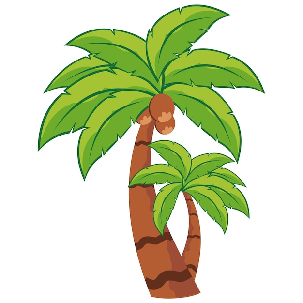 Coconut tree illustration