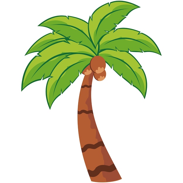 Premium Vector | Coconut tree illustration