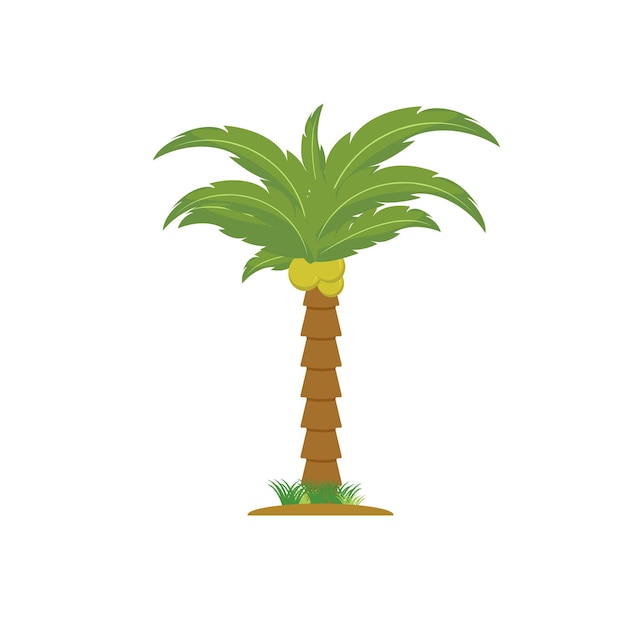 Coconut tree palm tree illustration vector design Coconut tree icon isolated on white background from ecology collection