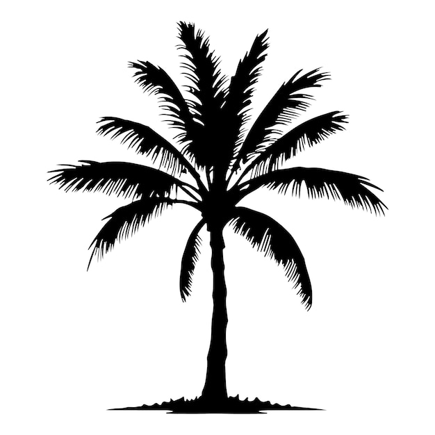 coconut tree silhouette vector Design