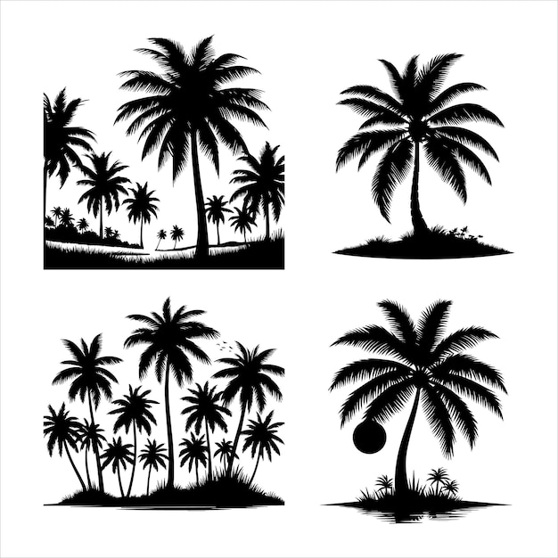 Coconut tree tropical vector design1