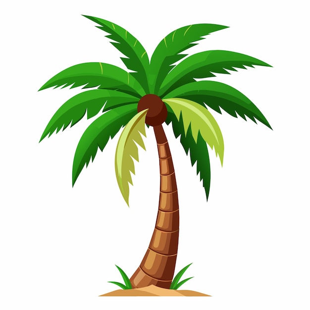 Vector coconut tree vector illustration and artwork