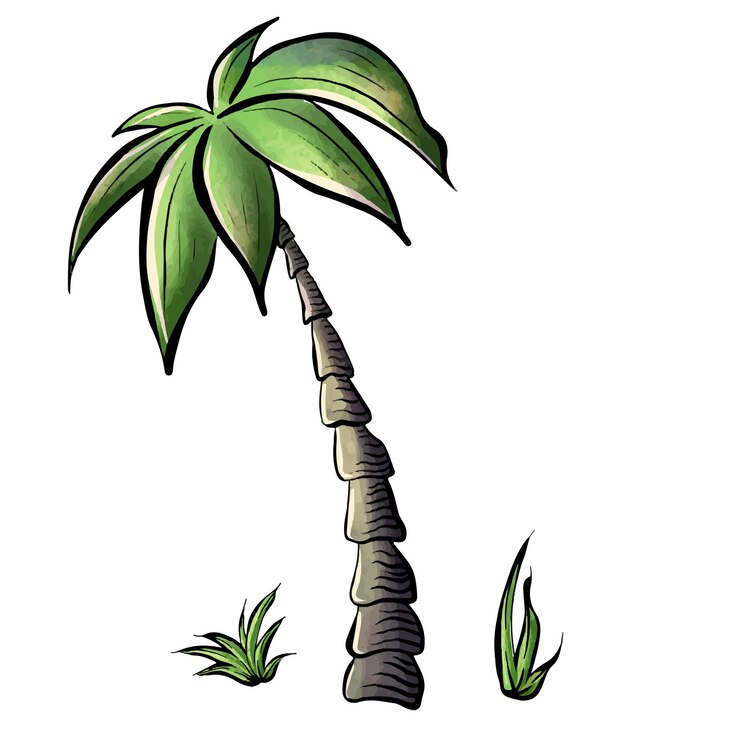 Vector coconut tree with grass on white background