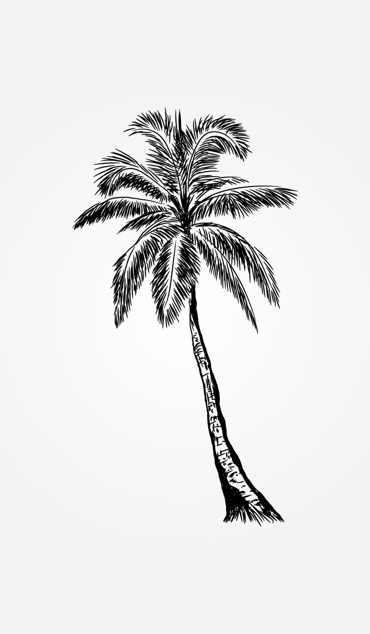 Vector coconut tree with hand drawn style vector