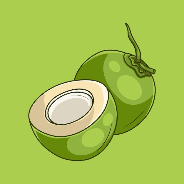 Vettore illustrazione vettoriale di cocco