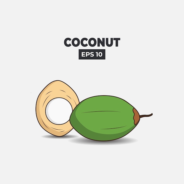 Vector coconut vector illustration