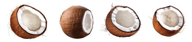 Coconut vector set geïsoleerd op witte achtergrond