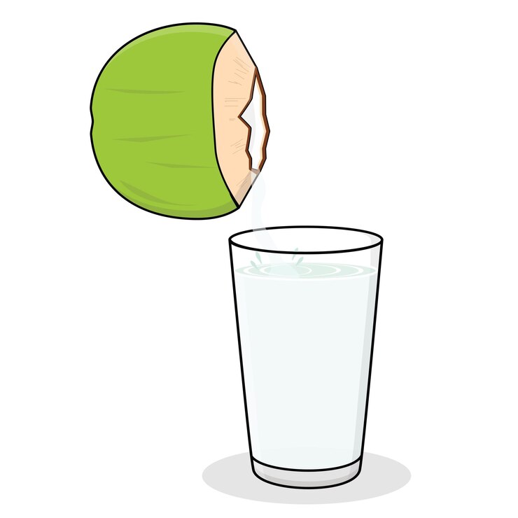 Vector coconut water cartoon vector design illustration