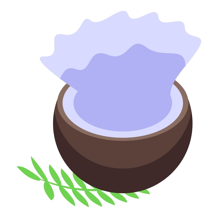 Vector coconut water splashing into half coconut with palm leaf