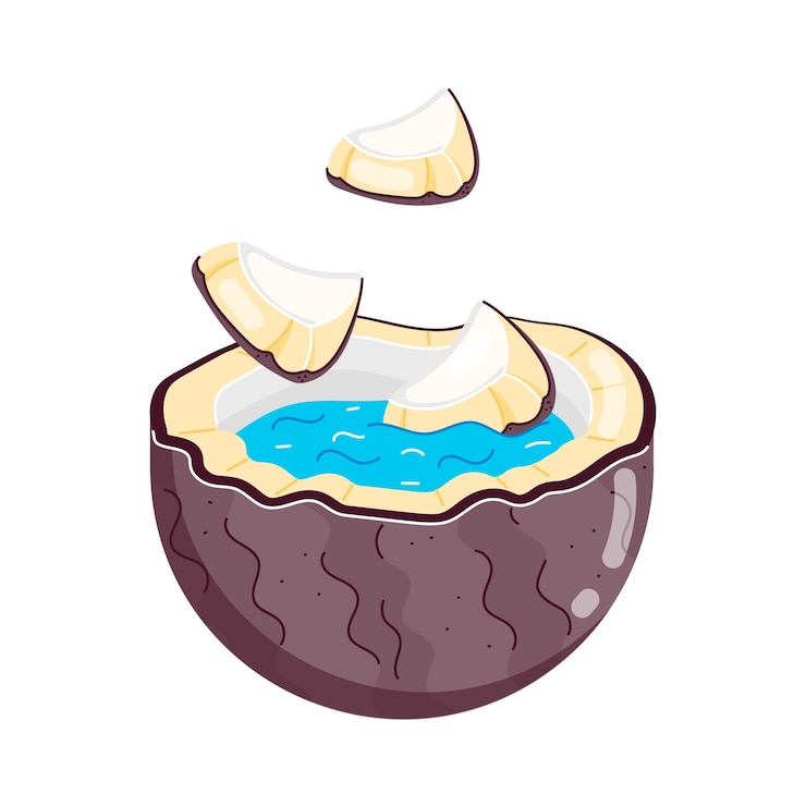 Vector a coconut with a boat on it and a half shell with a blue water in it