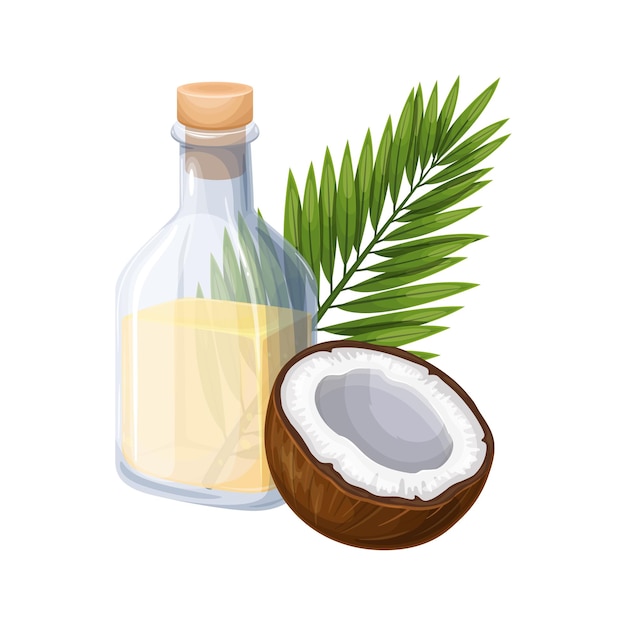 Vector coconut with coconut oil in glass bottle