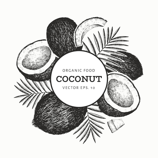 Coconut with palm leaves  template. hand drawn  food illustration. engraved style exotic plant. retro botanical tropical background.