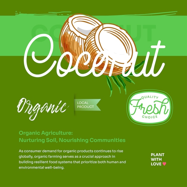 Vector coconuts hand drawn exotic tropical fruit vector post flyer and label