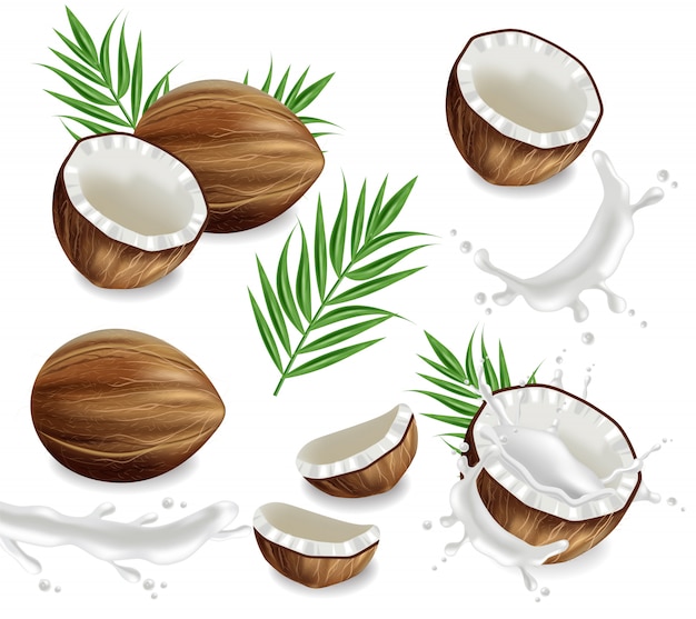 Coconuts with splash collection