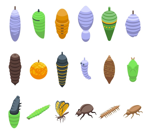 Cocoon icons set isometric vector animal pupa