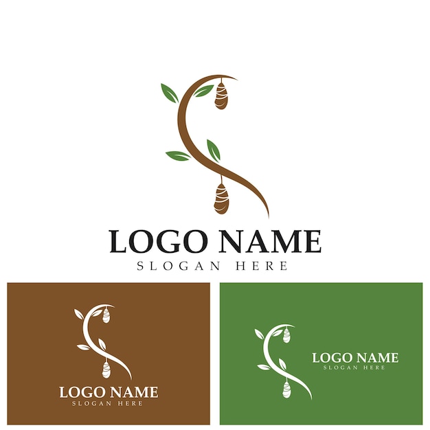 Cocoon logo template vector icon illustration design