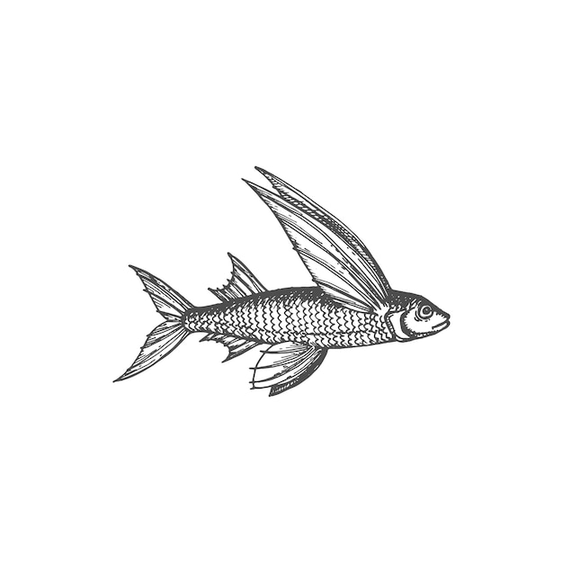 Premium Vector  Cod flying fish with wings isolated ocean animal