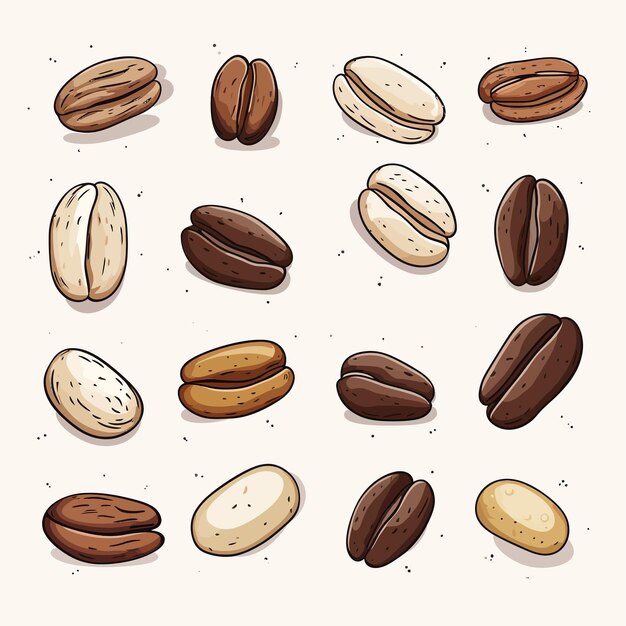 Vector coffee bean