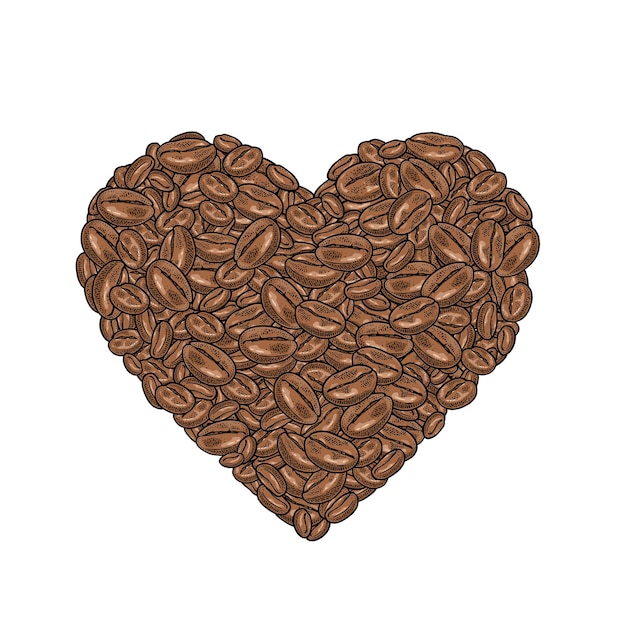 Vector coffee beans composition heart shaped vintage vector color engraving