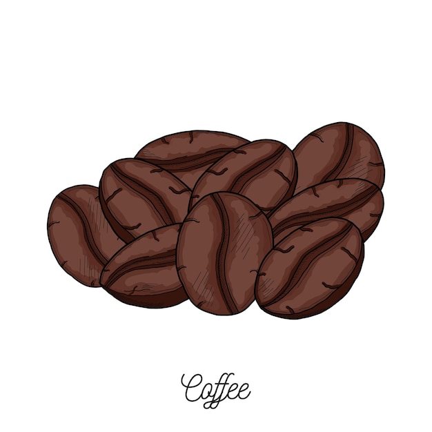 Illustrazione disegnata a mano dei chicchi di caffè